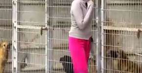 Mulher compra abrigo e salva 250 cães que viviam em situação terrível em Israel