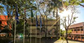 USP está com inscrições abertas para curso grátis de programação