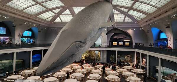 Museu Americano de História Natural é uma das atrações inclusas no New York CityPASS