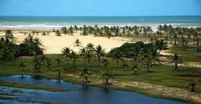 Foto: (Imagem sem texto alternativo disponivel ID [1867562])