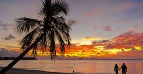 Foto: (Divulgação)