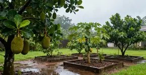 5 plantas frutíferas resistentes à água para jardins domésticos