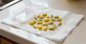 O truque caseiro para plantar um limoeiro em menos de um mês