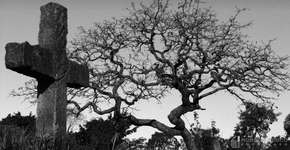 Música mais triste do mundo é responsável por mais de 100 suicídios