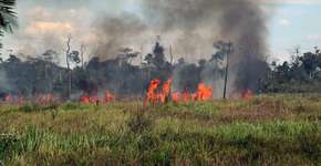 Queimadas no Brasil aumentam 82% em relação a 2018