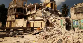 Animais são capazes de prever terremotos?