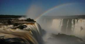 Foto: (Divulgação)