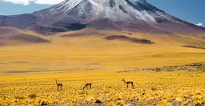 Operadora promove jornada fotográfica no deserto mais árido do mundo