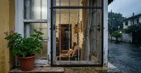 As melhores maneiras de se livrar dos pernilongos em sua casa de forma rápida e fácil