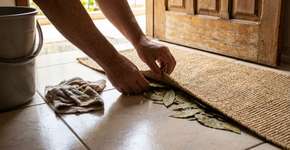Louros embaixo do tapete: o segredo simples para uma casa com cheiro fresco.