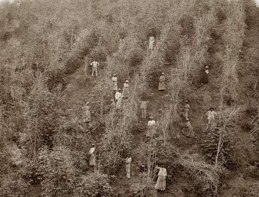 Vale do Paraíba, São Paulo, 1882