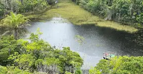 Parque do Descobrimento é passeio imperdível na BA