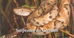 Foto: (Imagem sem texto alternativo disponivel ID [1835715])