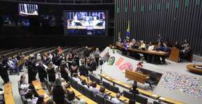 Foto: (Zeca Ribeiro / Câmara dos Deputados)