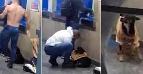 Homem tira a camiseta para aquecer cachorro com frio e viraliza