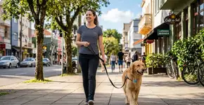 Veja como ensinar seu cachorro a não puxar a guia