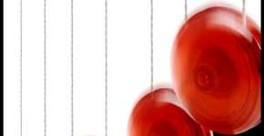 Foto: (Getty Images)