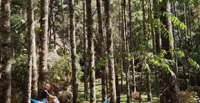 Foto: (Reprodução/Instagram @parqueoschin)