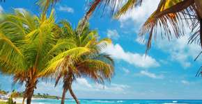 Dicas de viagem para aproveitar o melhor da Jamaica