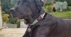 Foto: (Reprodução/Arquivo Pessoal)