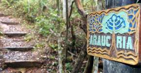 Parques do Rio Tietê são opções de lazer, aprendizado e de espaços verdes no meio de SP