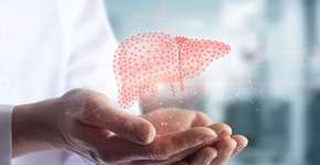 Foto: (Imagem sem texto alternativo disponivel ID [2596314])