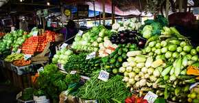 O vegetal mais saudável do mundo e seus benefícios para a saúde