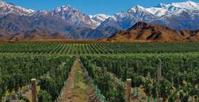 Foto: (Imagem sem texto alternativo disponivel ID [1864988])