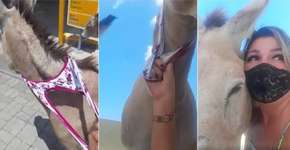 Ativista usa sua própria calcinha para resgatar animal no Ceará