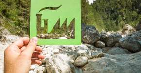 Cursos gratuitos para quem quer cuidar do meio ambiente