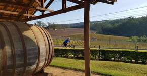 SP ganha ciclorrota que interliga cidades do Circuito das Frutas