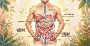4 maneiras simples de melhorar sua digestão sem dietas detox exaustivas
