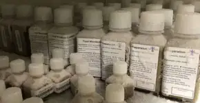 Foto: (Imagem sem texto alternativo disponivel ID [1831058])