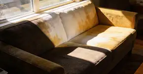 Foto: (Imagem sem texto alternativo disponivel ID [2726197])