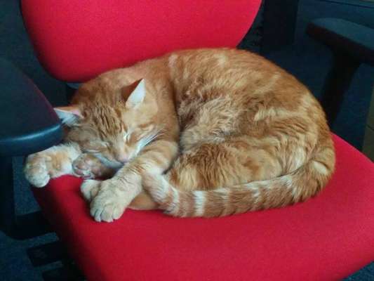 Crédito: Reprodução