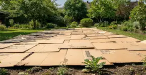 Foto: (Imagem sem texto alternativo disponivel ID [2687459])