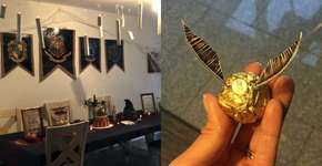 Fizeram a mais incrível festa surpresa com tema de Harry Potter