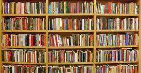 Foto: (Imagem sem texto alternativo disponivel ID [1896237])