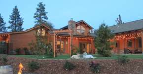 EUA e Europa com cães: veja 5 casas pet friendly para alugar