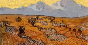 Professor retira árvores de pinturas famosas para questionar desmatamento