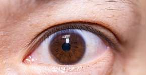 Foto: (kool99/istock)