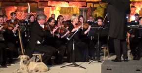 Foto: (Imagem sem texto alternativo disponivel ID [1458290])