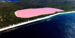 Foto: (Imagem sem texto alternativo disponivel ID [839254])