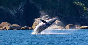 Foto: (Divulgação/Hostel da Vila)