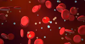 Foto: (iStock/Silver Place)