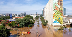 Anvisa autoriza desinfetantes de uso geral contra a leptospirose