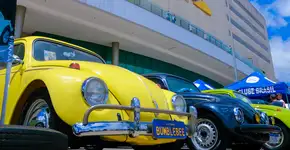 Foto: (Foto: Divulgação.)