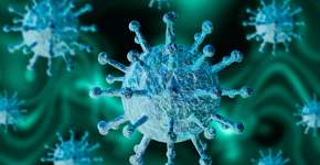 Foto: (Gilnature/istock)