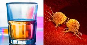 Foto: (rez-art/wildpixel/istock)