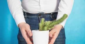 Foto: (Getty Images/iStockphoto)